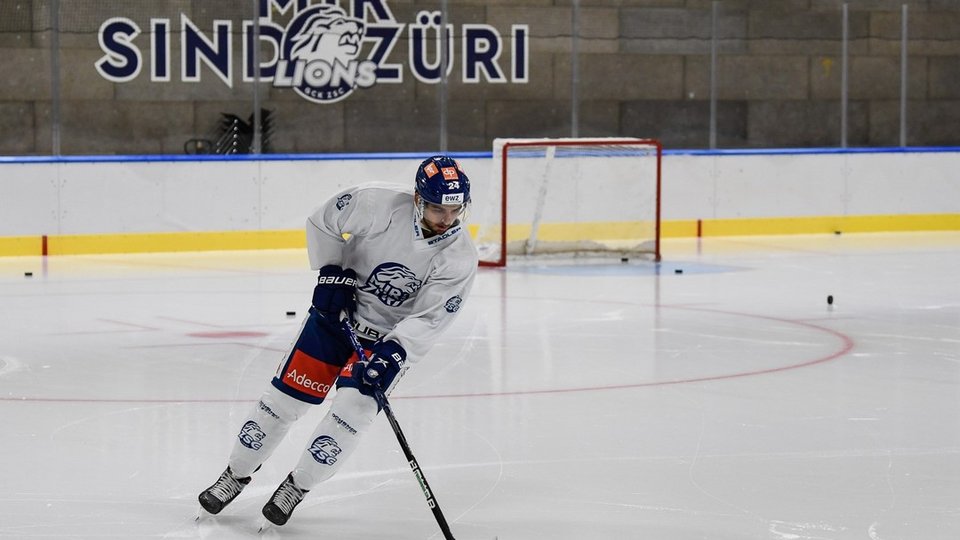 Eindrücke vom ersten ZSC-Training in der Swiss Life Arena