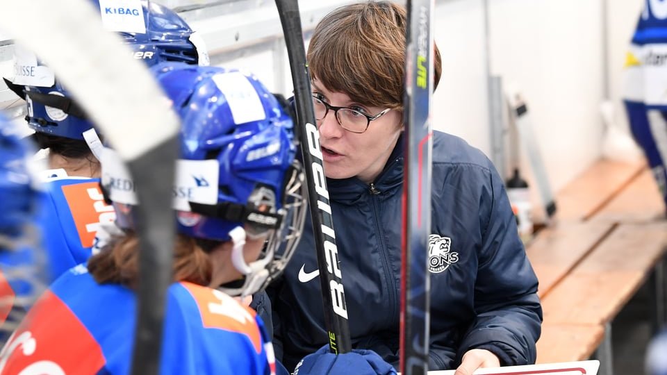 Löwinnen sind auf Finalkurs