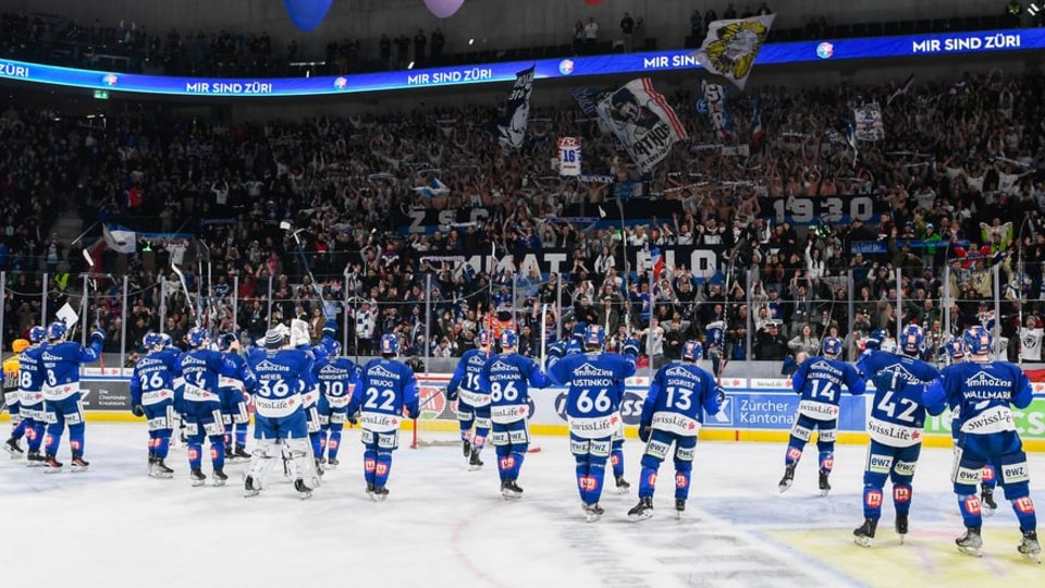 Wir sind im Halbfinal! Wie geht es weiter?