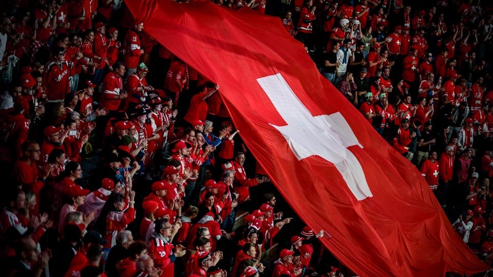 Lions-Newsletter 04.06.2026