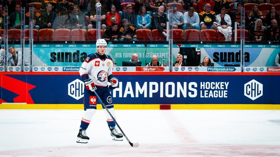Lions-Newsletter 06.10.2025