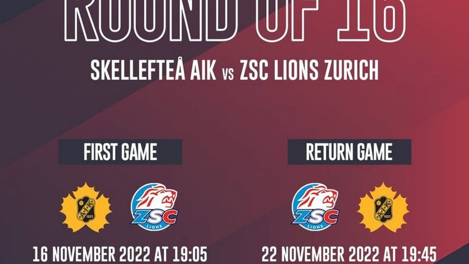 Lions-Newsletter 03.11.2022