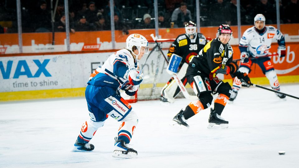 Highlights vs. Bern