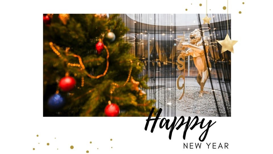 Lions-Newsletter 01.01.2026