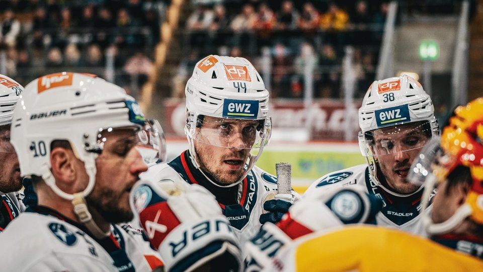 Der Tiger ringt den Löwen nieder
