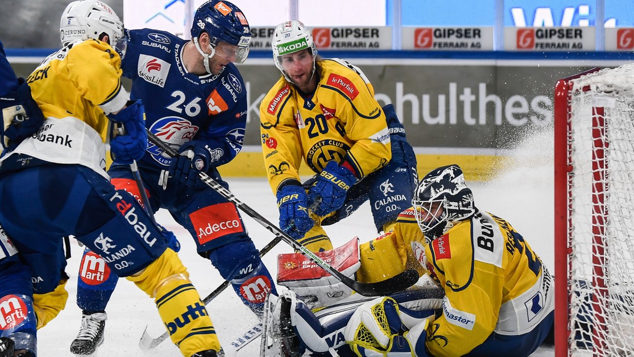 Die Lions stehen im Halbfinale