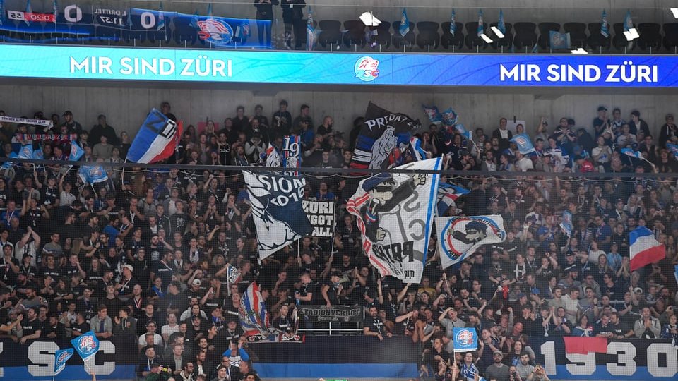 Highlights vs. Fribourg, Gameday 9